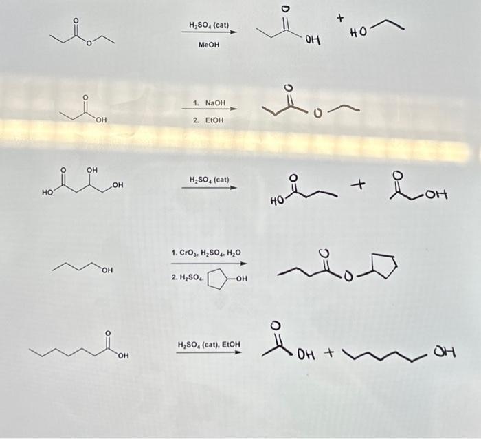 Solved H2SO4 (cat) 1. NaOH 2. EtOH HO∘ 0 H2SO4 (cat) 1. | Chegg.com