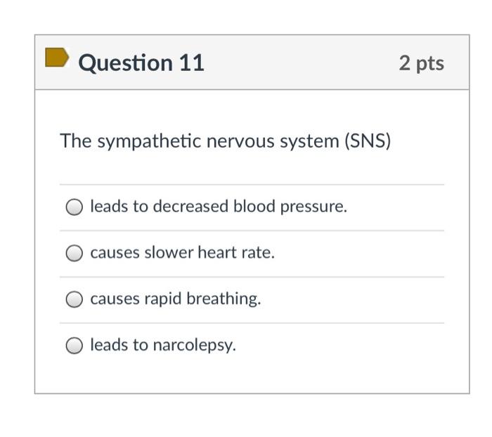 solved-question-11-2-pts-the-sympathetic-nervous-system-chegg