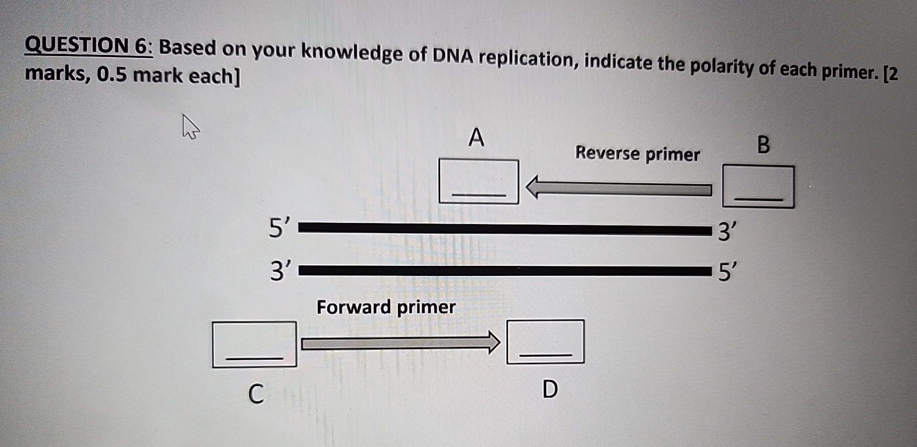 Solved QUESTION 6: Based on your knowledge of DNA | Chegg.com