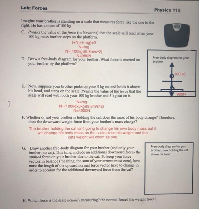 Solved Lab Forces Physics 112 Imagine Your Brother Is St Chegg Com