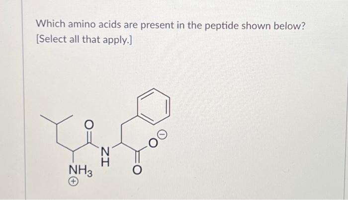 Solved Which Amino Acids Are Present In The Peptide Shown | Chegg.com