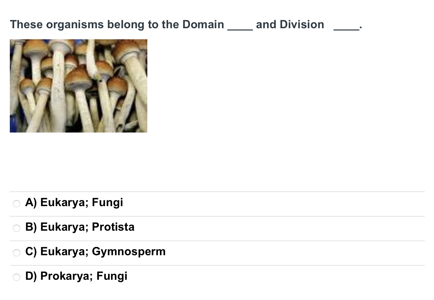 Solved These organisms belong to the Domainand DivisionA) | Chegg.com