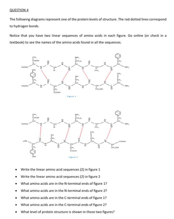 solved-question-1-name-the-functional-importance-of-each-of-chegg