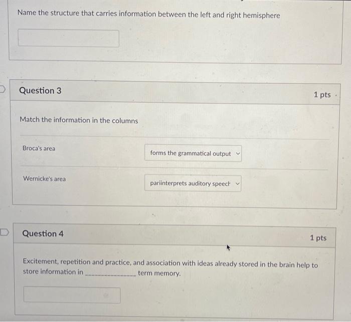 Name the structure that carries information between the left and right hemisphere
Question 3
Match the information in the col