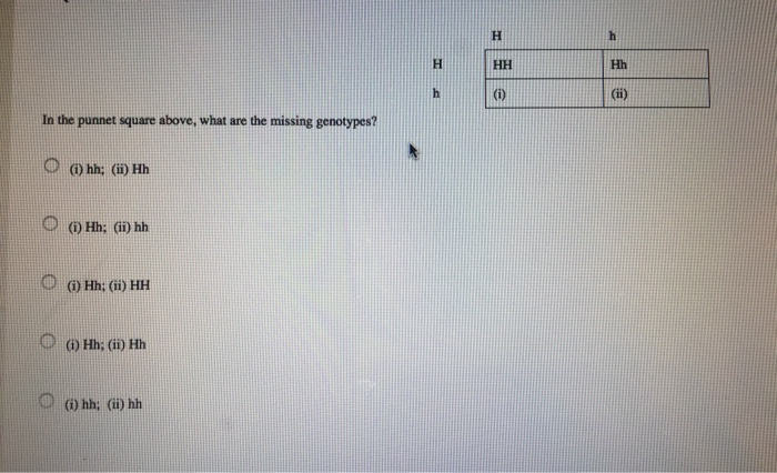 solved-in-the-punnet-square-above-what-are-the-missing-chegg