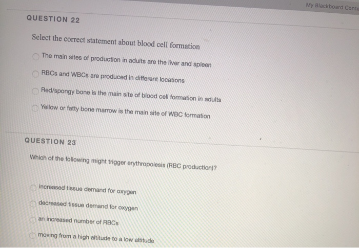 Solved My Blackboard Conte QUESTION 22 Select the correct Chegg