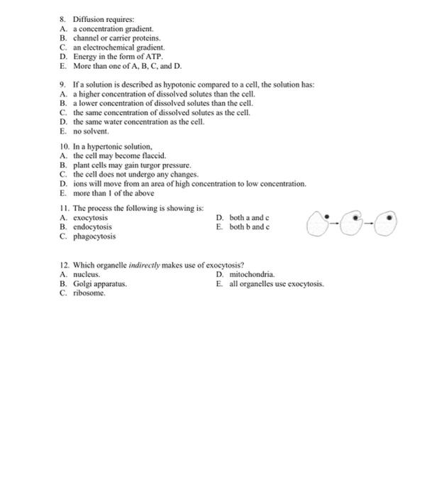 Solved SBI4UO Biochemistry Quiz #3 - Cell Membranes And | Chegg.com