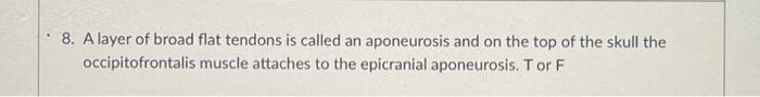 the depolarization phase of an action potential is punctuated by the closing