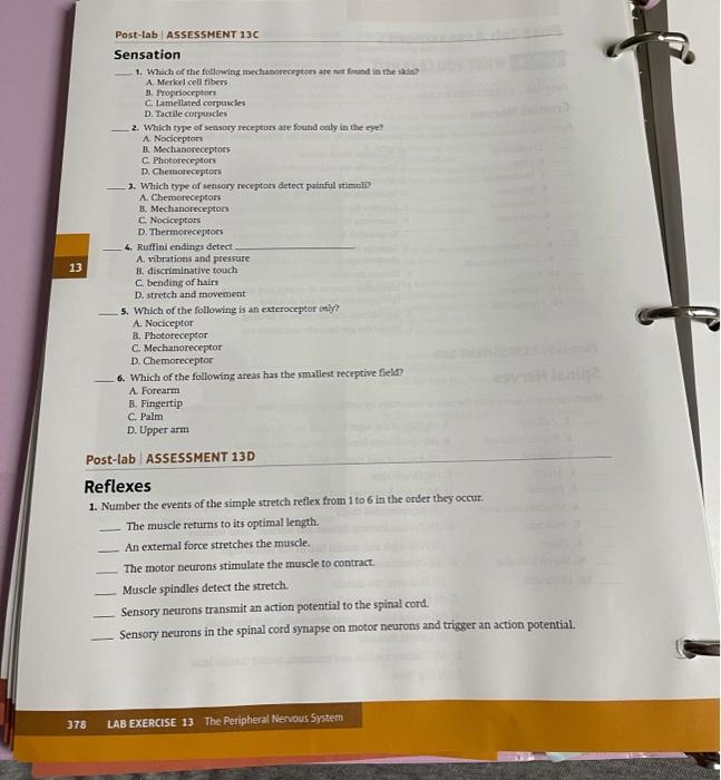 Solved Post-lab Assessments CHECK WHAT YOU LEARNED Post-lab | Chegg.com