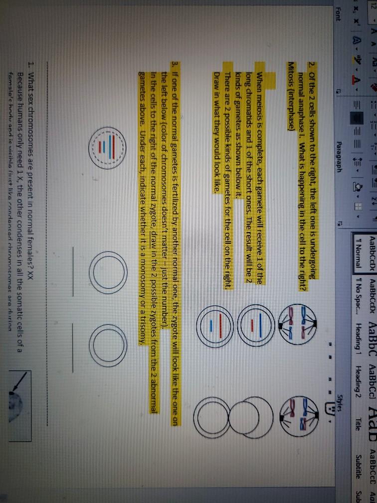 12 A A A AaBbCcDc AaBbCcDc AaBbc AaBbCc) Add AaBbcc | Chegg.com