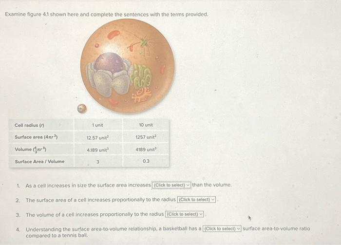 Solved Examine figure 4.1 shown here and complete the | Chegg.com