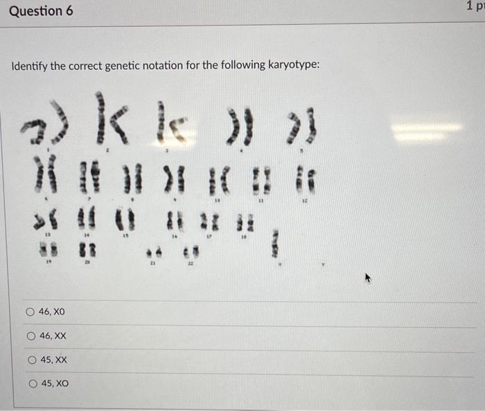 Solved 2) K if )1? If If If औ If ! if of 10 if in at | Chegg.com