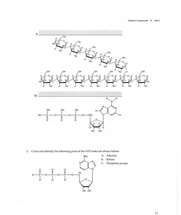 Solved Organic Compounds LB 3 3 Organic Compounds Worksheet | Chegg.com