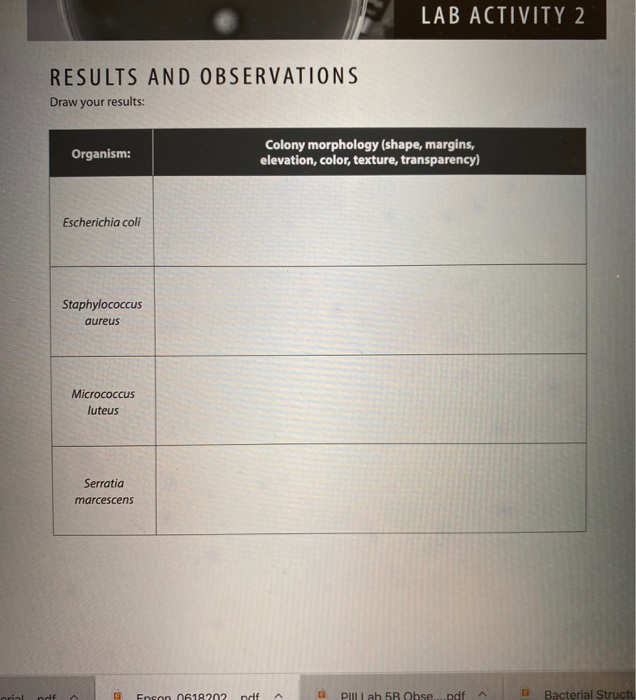 Solved Lab Activity 2 Results And Observations Draw Your Chegg Com