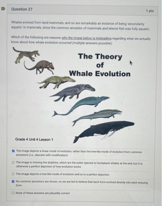 Solved Whales evolved from land mammals, and so are