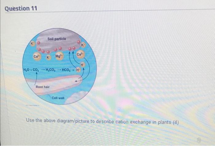 Solved Use the above diagram/picture to describe cation | Chegg.com
