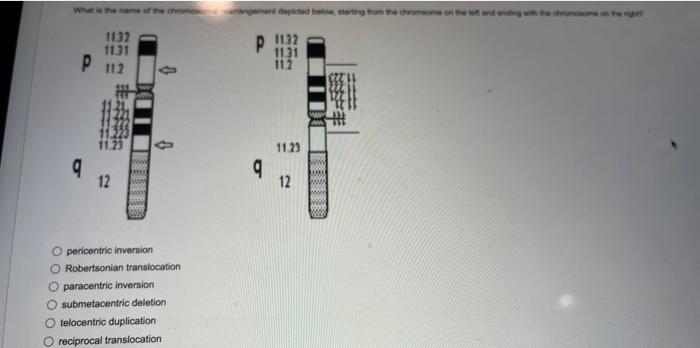 Solved pericentric inversion Robertsonian translocation | Chegg.com