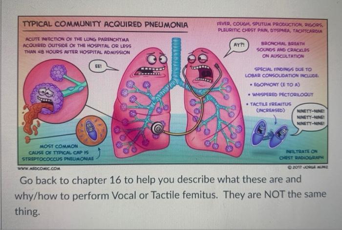 Go back to chapter 16 to help you describe what these | Chegg.com