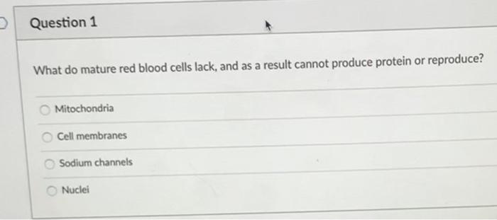 Solved > Question 1 What do mature red blood cells lack, and | Chegg.com