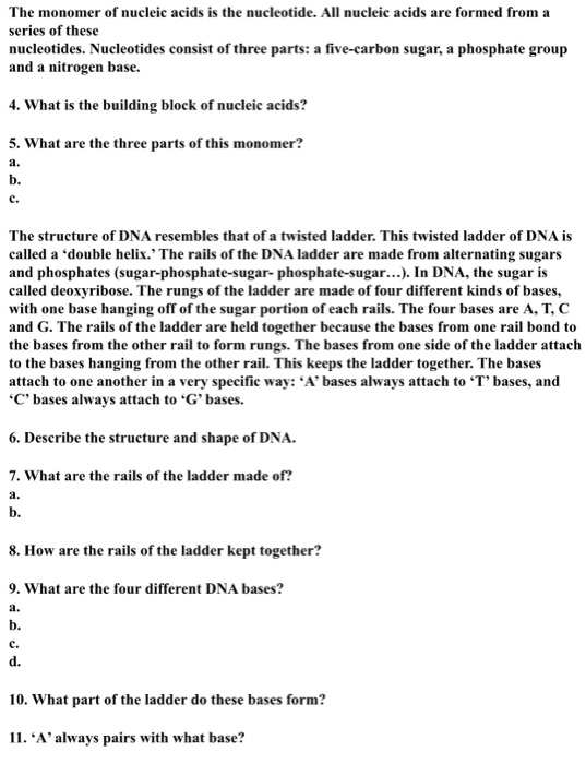 Solved The monomer of nucleic acids is the nucleotide. All