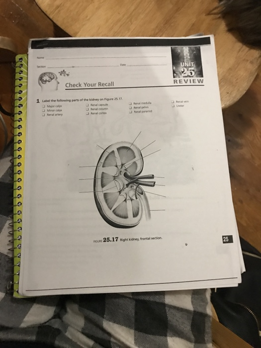Solved 25 UNIT 25 REVIEW Check Your Recall 1 label the