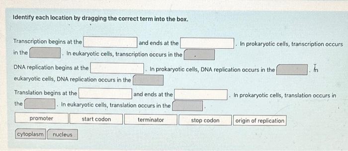 Solved Indicate the type of horizontal gene transfer shown | Chegg.com