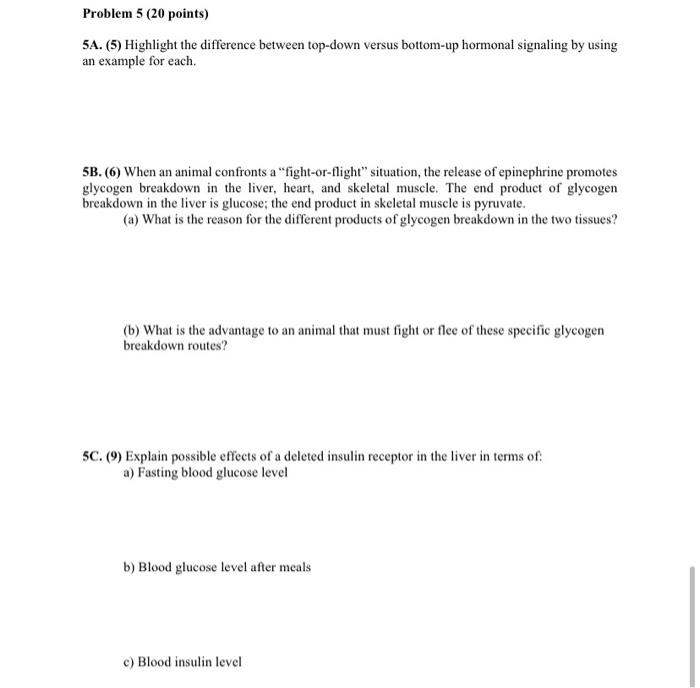 Solved Problem 5 (20 points) 5A. (5) Highlight the | Chegg.com
