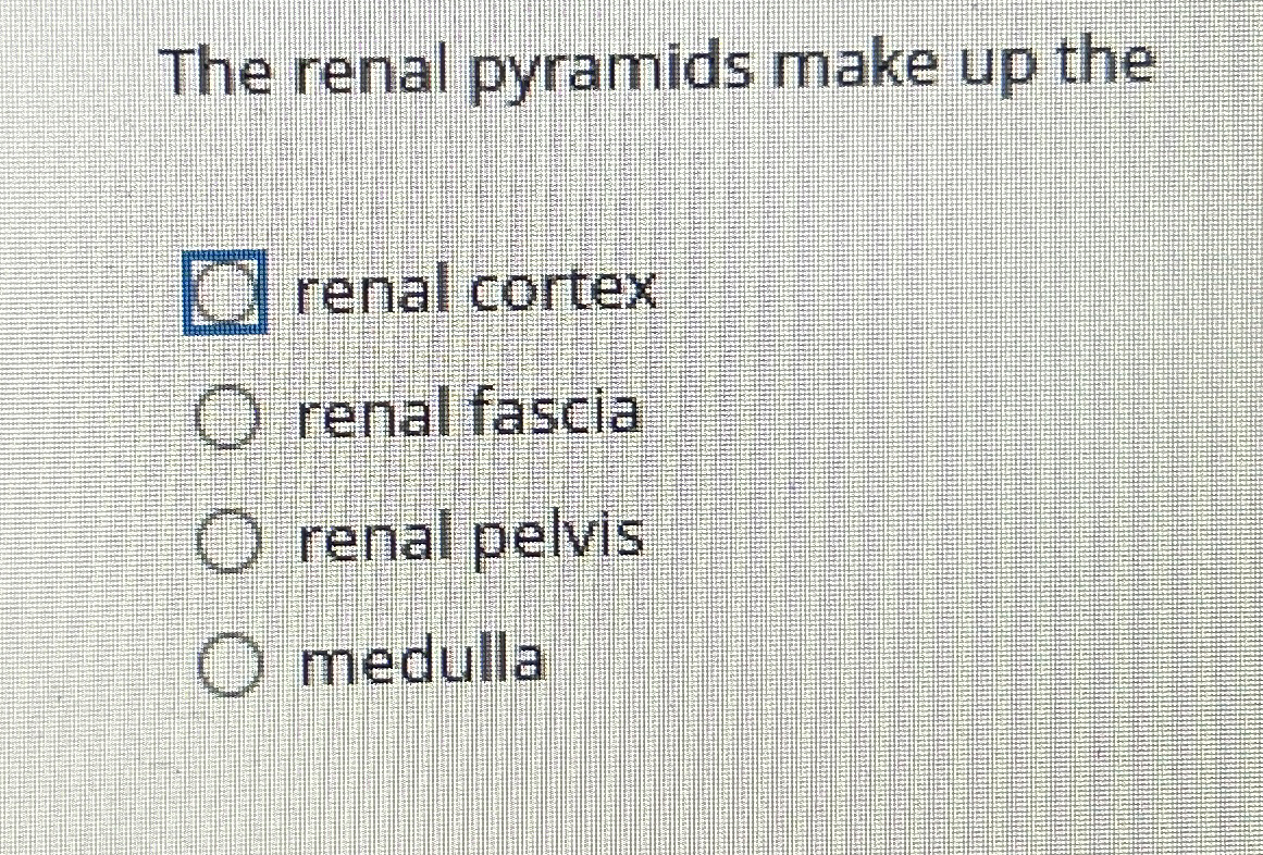 Solved The renal pyramids make up therenal cortexrenal | Chegg.com