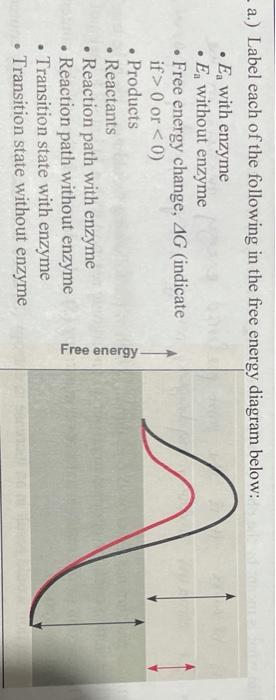 Solved - a.) Label each of the following in the free energy | Chegg.com