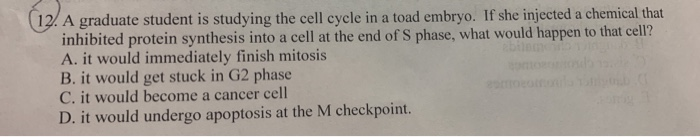 Solved (12. A graduate student is studying the cell cycle in | Chegg.com