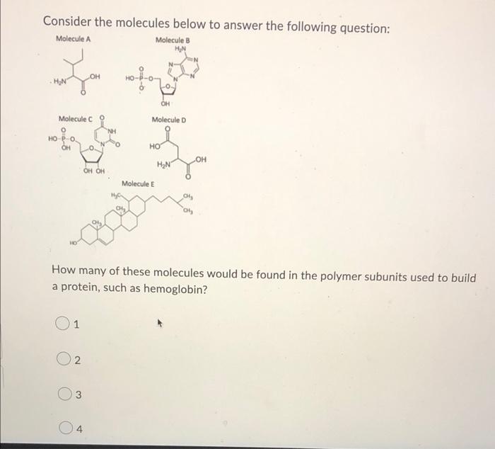 Solved Consider The Molecules Below To Answer The Following | Chegg.com