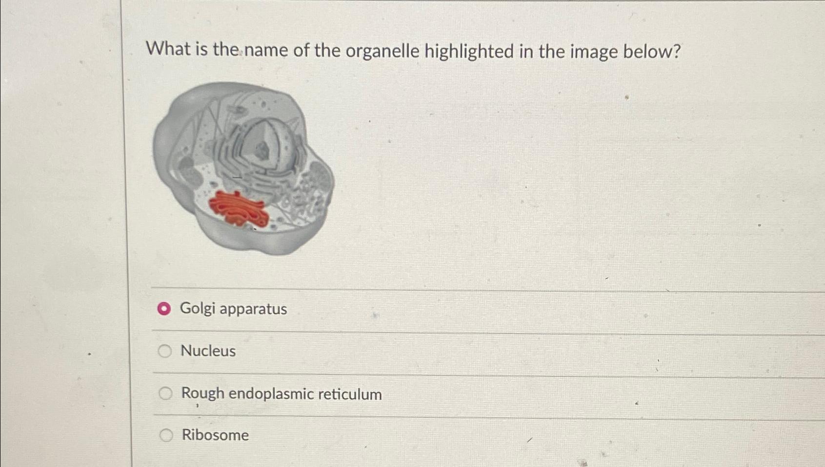 Solved What is the name of the organelle highlighted in the | Chegg.com