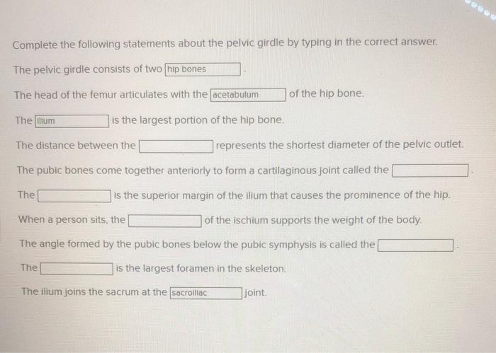 The angle formed by the pubic bones below the pubic symphysis is