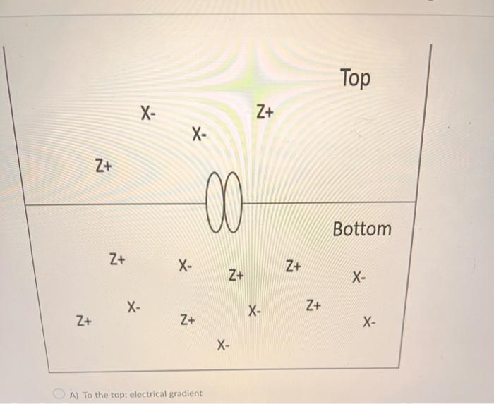 student submitted image, transcription available below