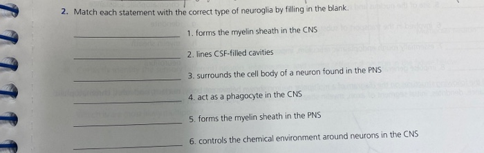 Solved Pre-Lab Quiz Quiz Questions Using Mastering A&P™ Lab | Chegg.com