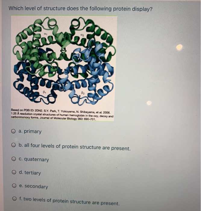 Solved Which level of structure does the following protein | Chegg.com