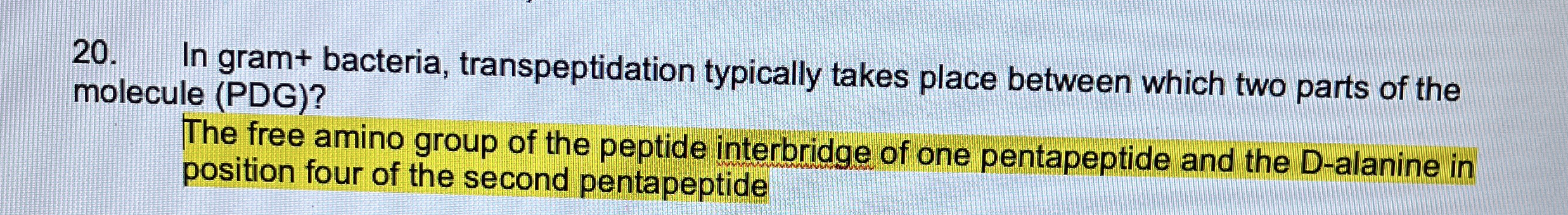 Solved In gram+ ﻿bacteria, transpeptidation typically takes | Chegg.com