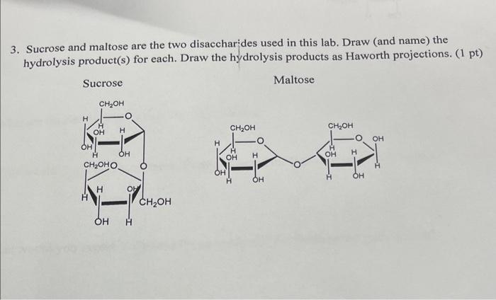 Solved 3. Sucrose and maltose are the two disaccharides used | Chegg.com