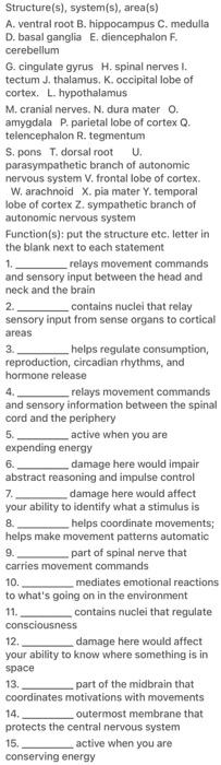 Solved Structure(s), System(s), Area(s) A. Ventral Root B. | Chegg.com