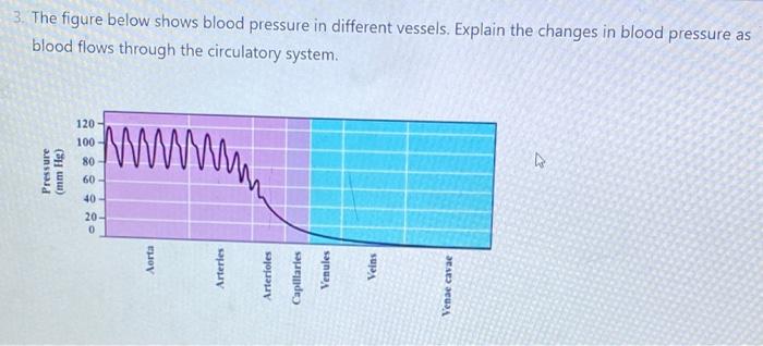Solved 3 The Figure Below Shows Blood Pressure In Different Chegg Com