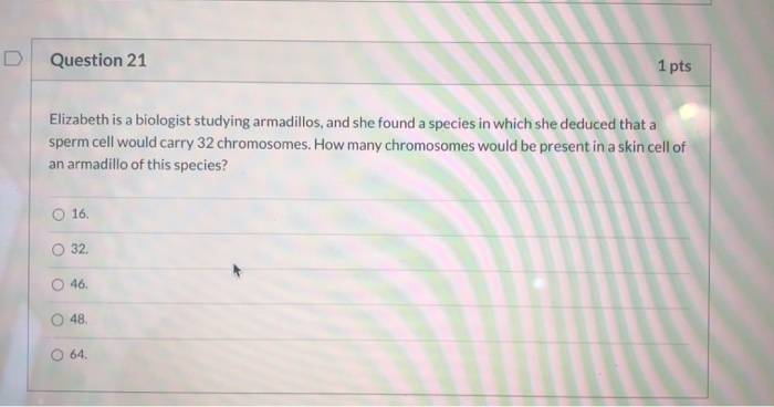 Solved Question 21 1 pts Elizabeth is a biologist studying | Chegg.com