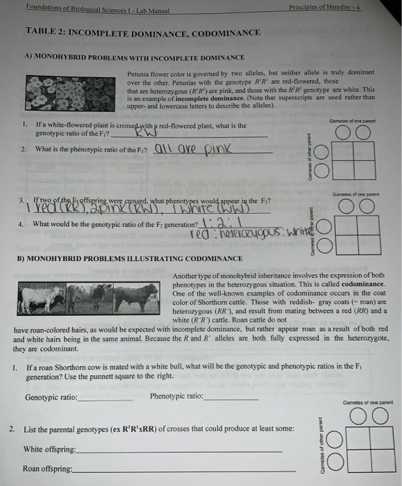 Foundations Of Biological Sciences Lab Manual Chegg 