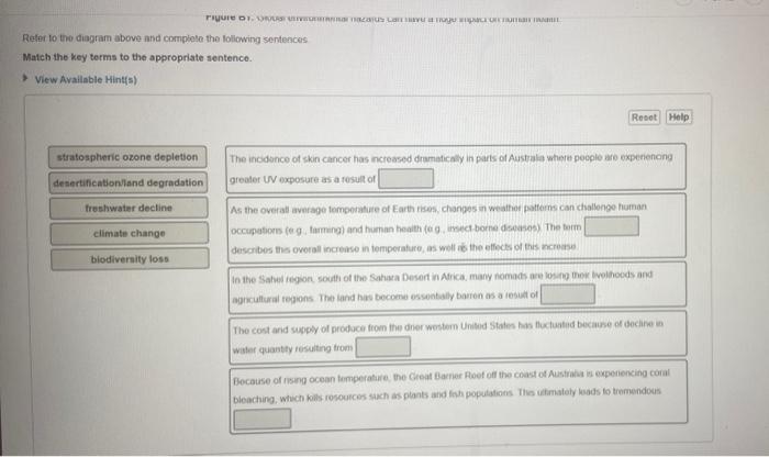 Solved While homans certainly play a signficant role in many | Chegg.com