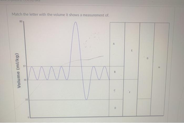 Solved Match the letter with the volume it shows a | Chegg.com
