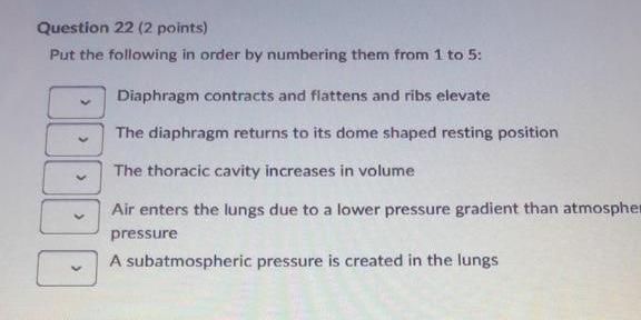 Question 22 (2 points) Put the following in order by numbering them from 1 to 5: Diaphragm contracts and flattens and ribs el