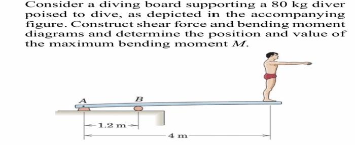 Solved Consider A Diving Board Supporting A 80 Kg Diver 