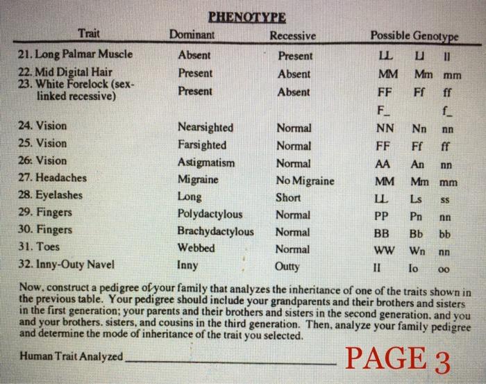 PHENOTYPE Trait Dominant Recessive Possible Genotype 21. Long Palmar Muscle Absent Present LL 11 22. Mid Digital Hair Present