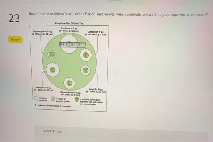 Solved Based on these Kirby Bauer Disc Diffusion Test | Chegg.com