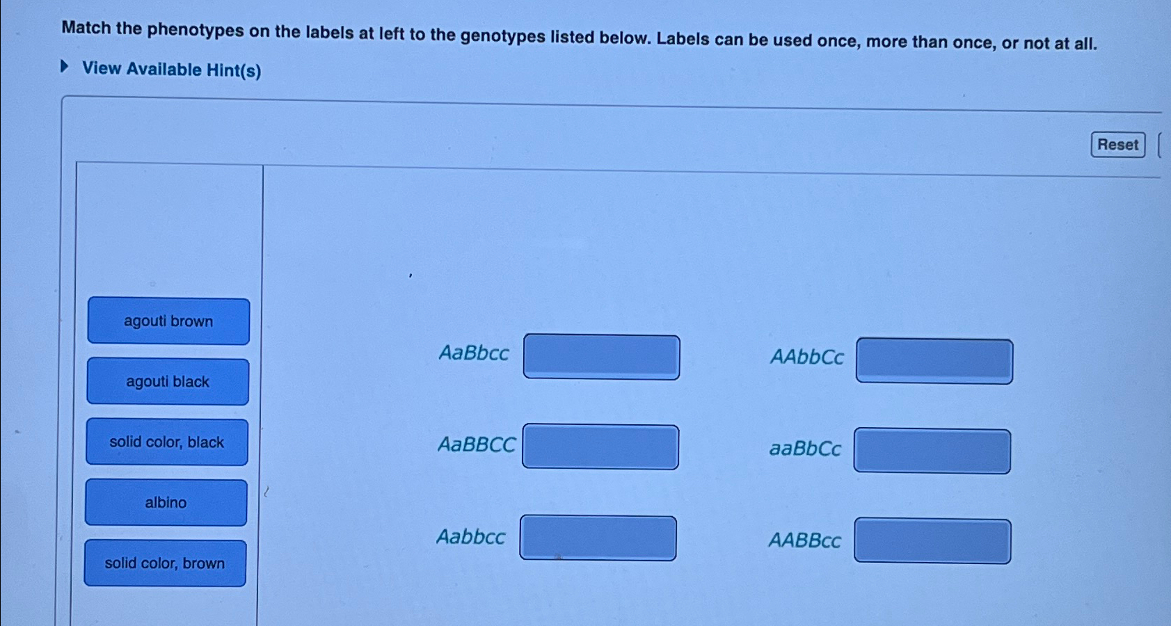 Solved Match the phenotypes on the labels at left to the | Chegg.com