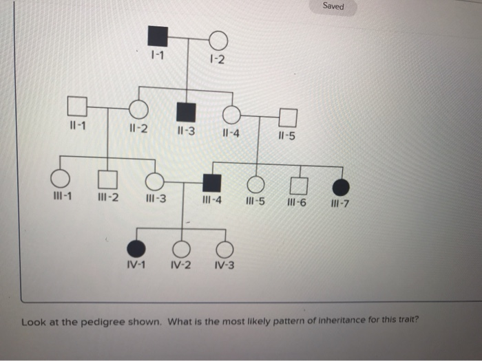 Solved Saved Look at the pedigree shown. What is the most | Chegg.com
